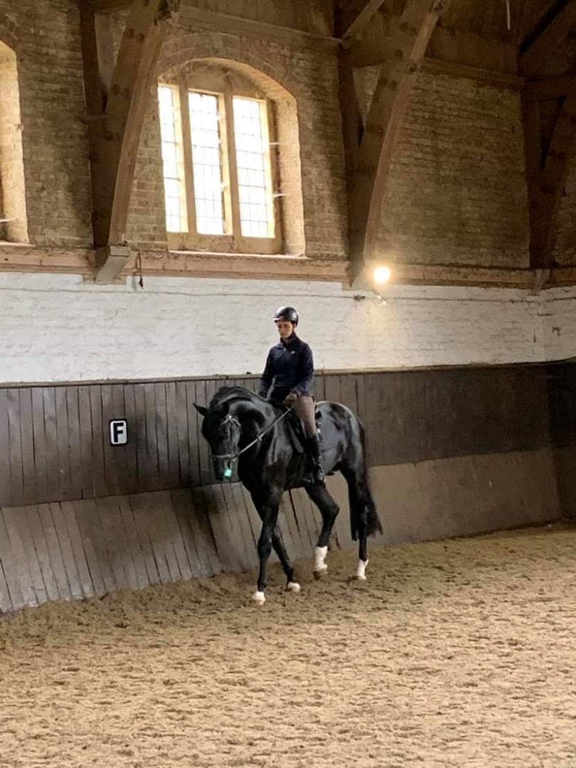 The Durdans Stables 2