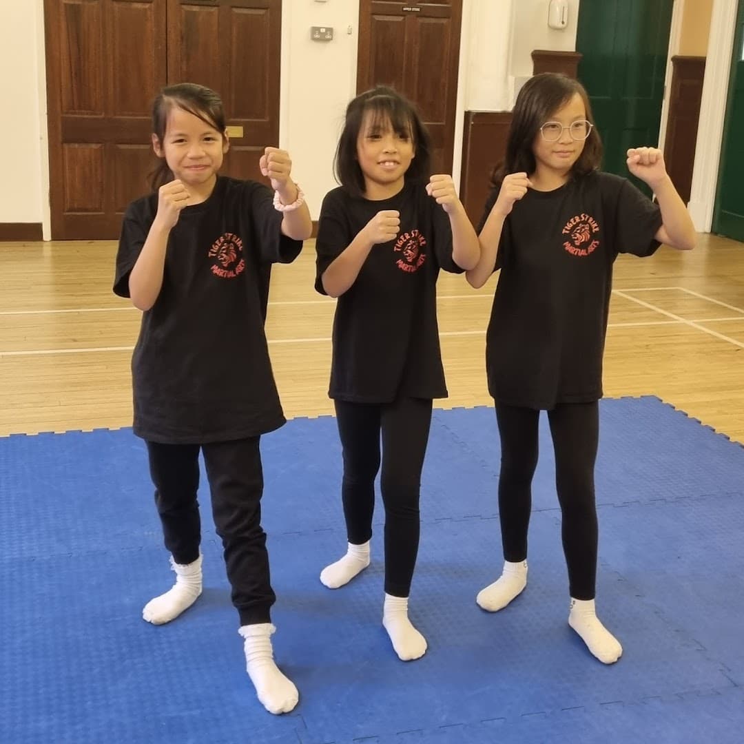 Tiger Strike Martial Arts 9