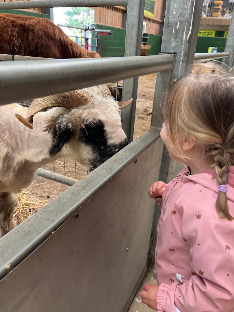 Julie’s childminding 5