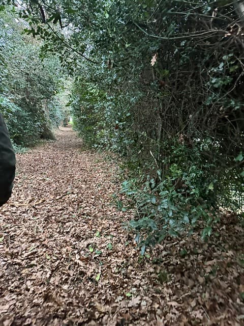 Burwood Forest School