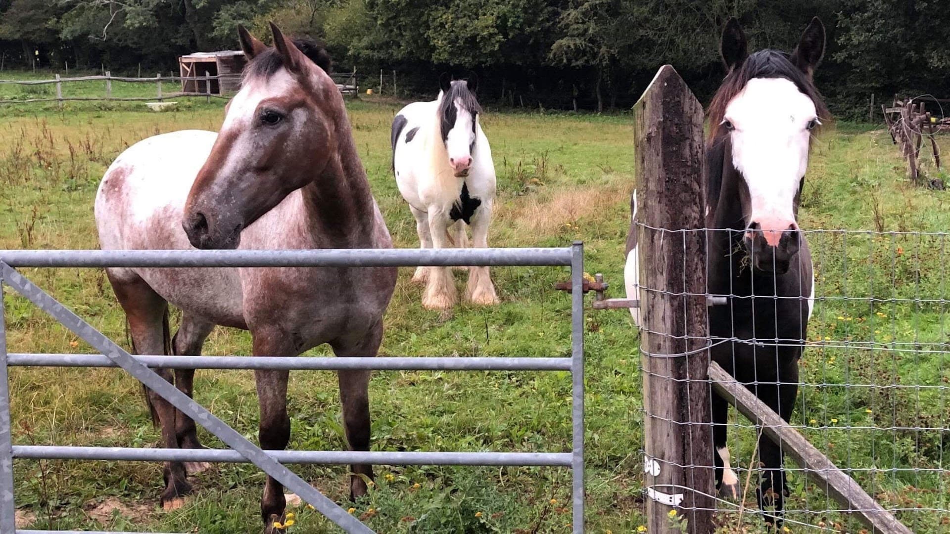 The Secret Garden Sanctuary