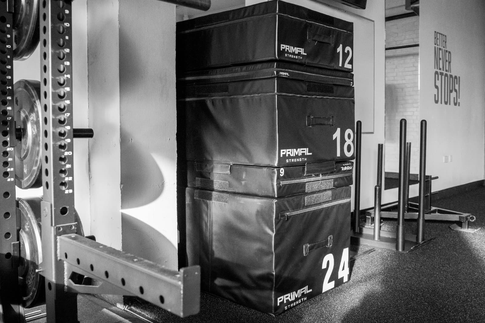 Peak Performance Training Club 3