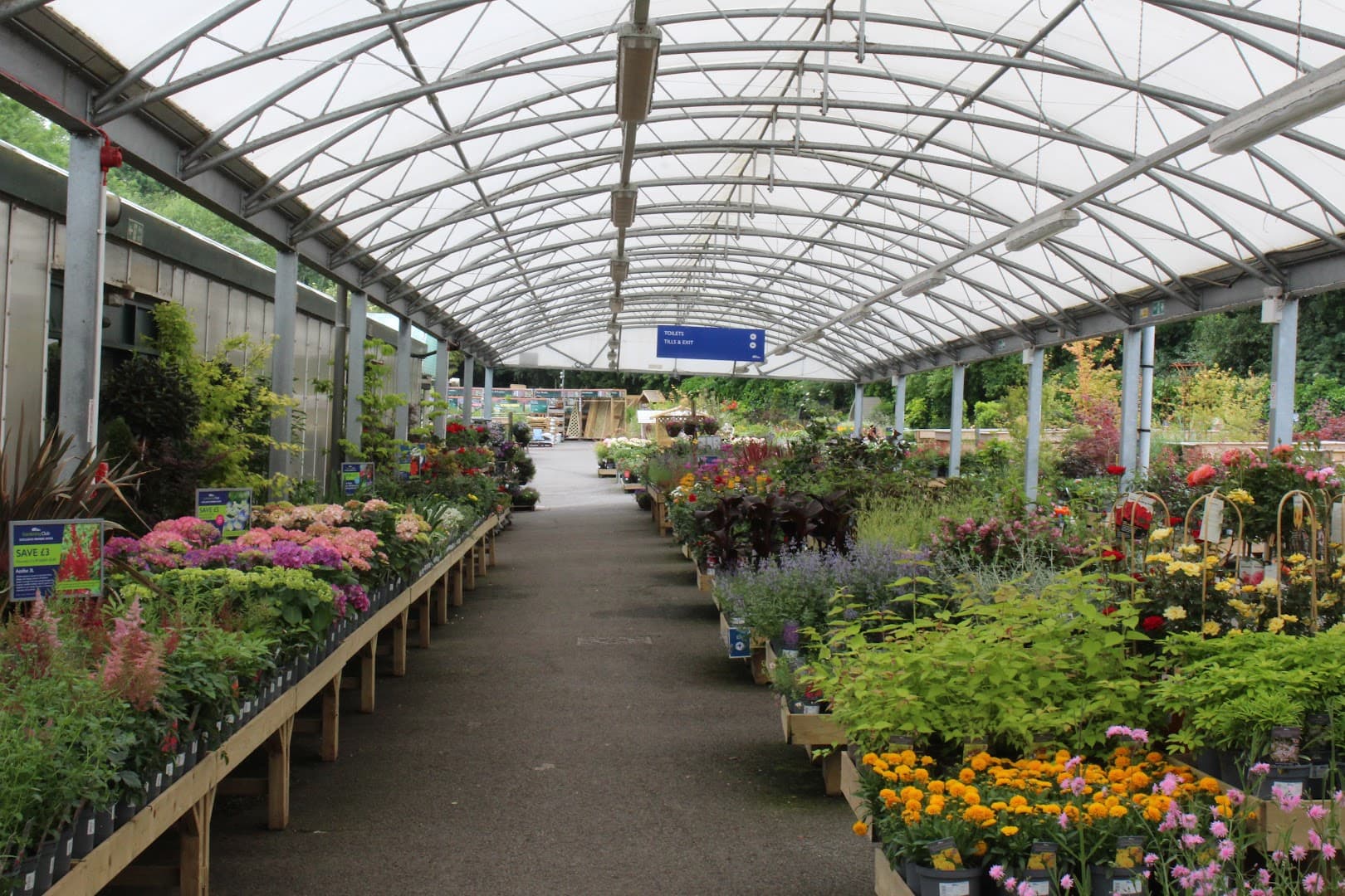 Hillier Garden Centre Dorking 4
