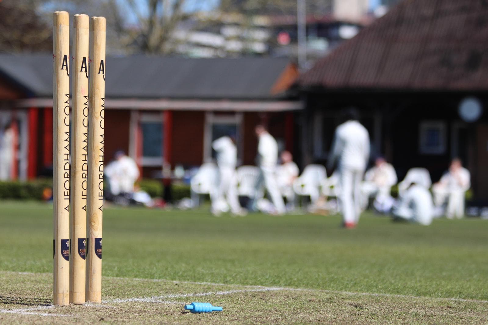 Woking and Horsell Cricket Club 2