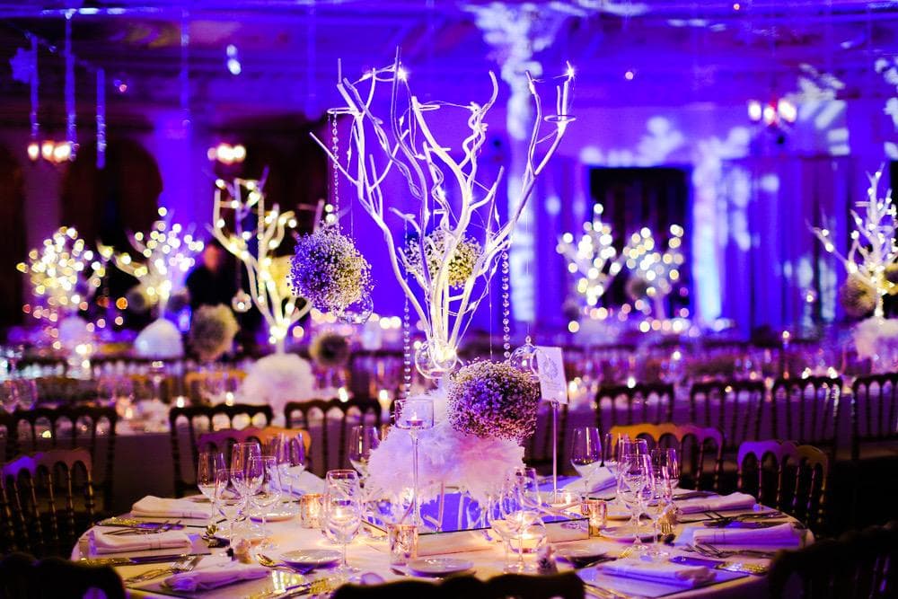 Wonder Events by Paula Ltd