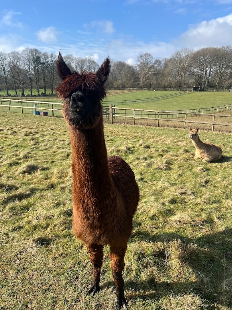 Manor Farm Experiences