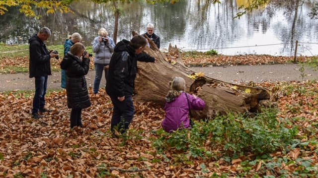 Imber Court Photo Training