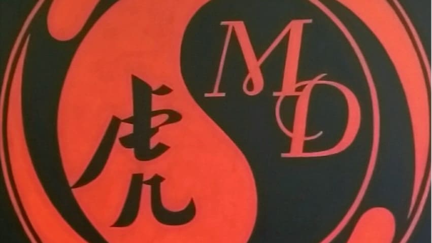 MD Martial Arts Academy