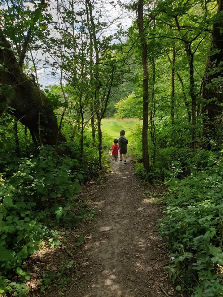 Roaming Wild Forest School 5