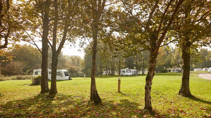 Alderstead Heath Caravan and Motorhome Club Campsite 4