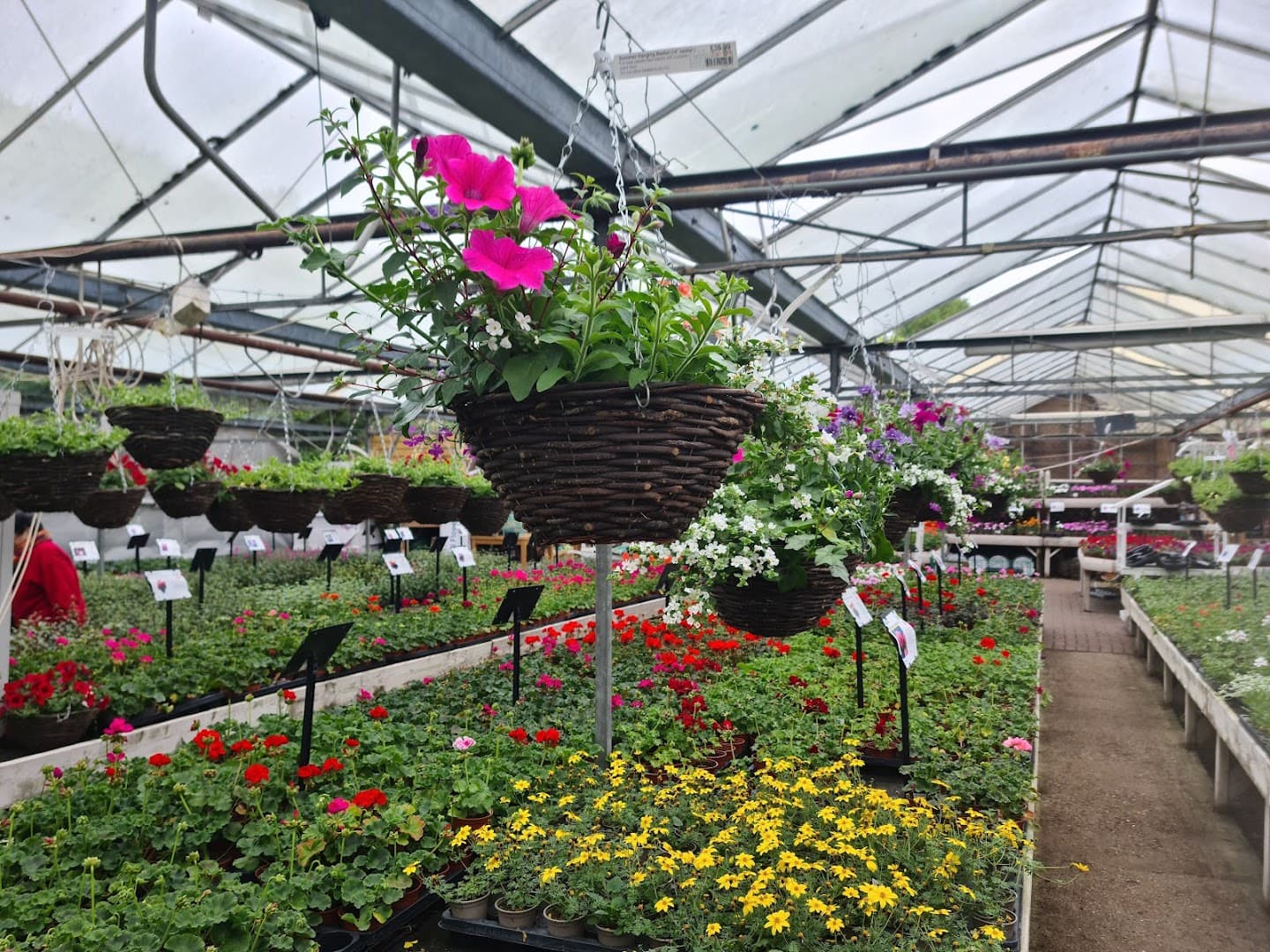 Dobbe's Garden Centre and Florist Shop 3