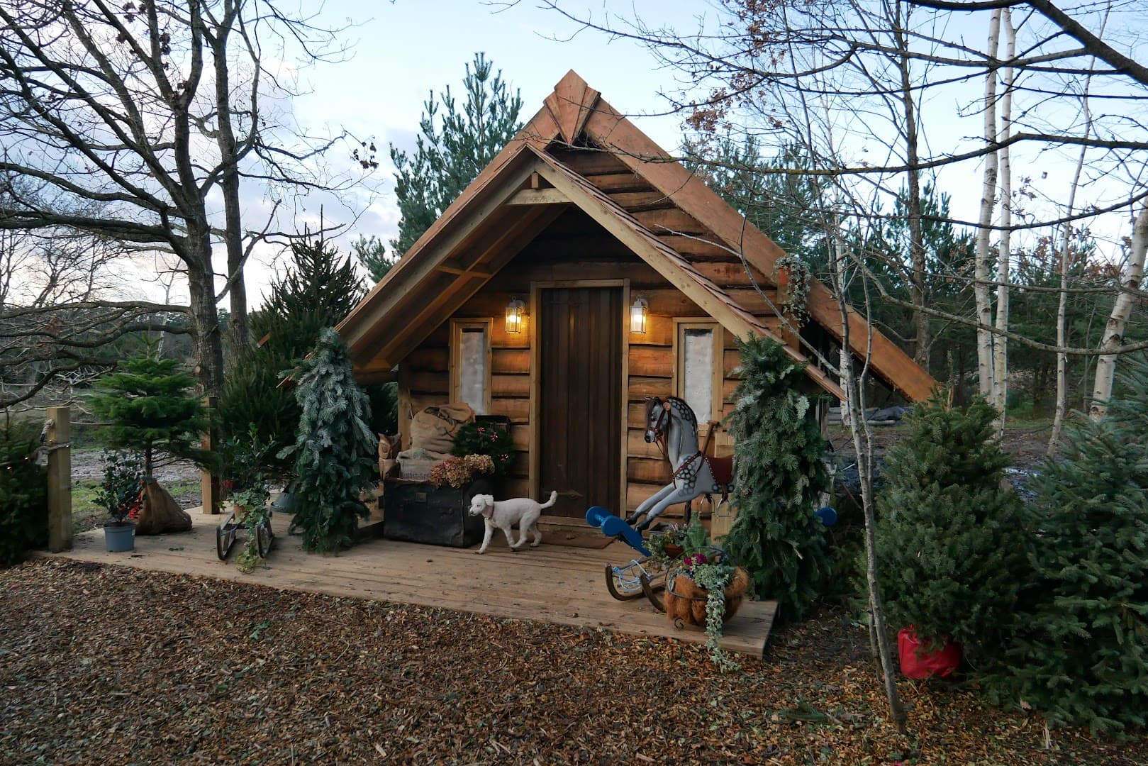 Ottershaw Christmas Tree Farm & Father Christmas Grotto