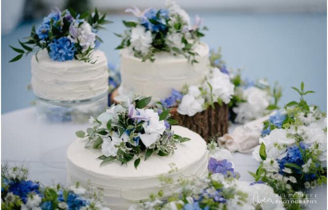 The Piping Bag Cupcakes