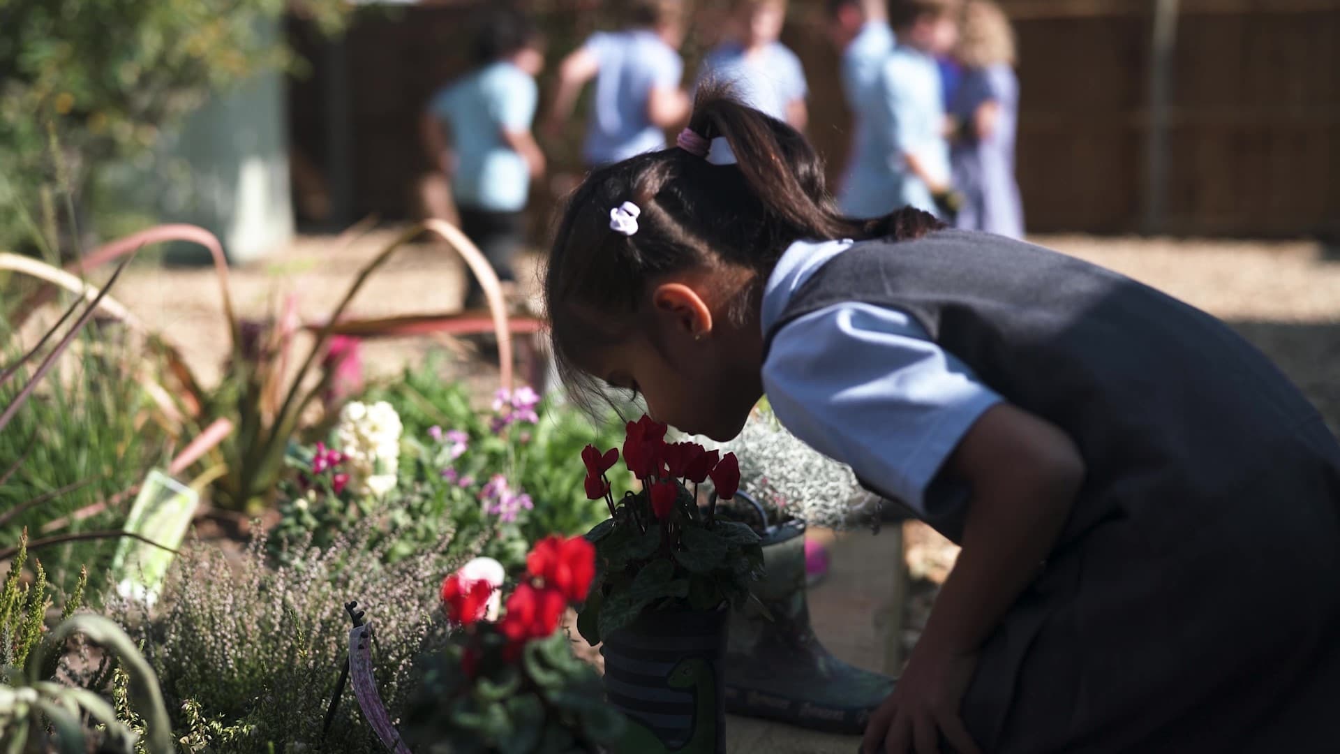 Cross Farm Infant Academy 4