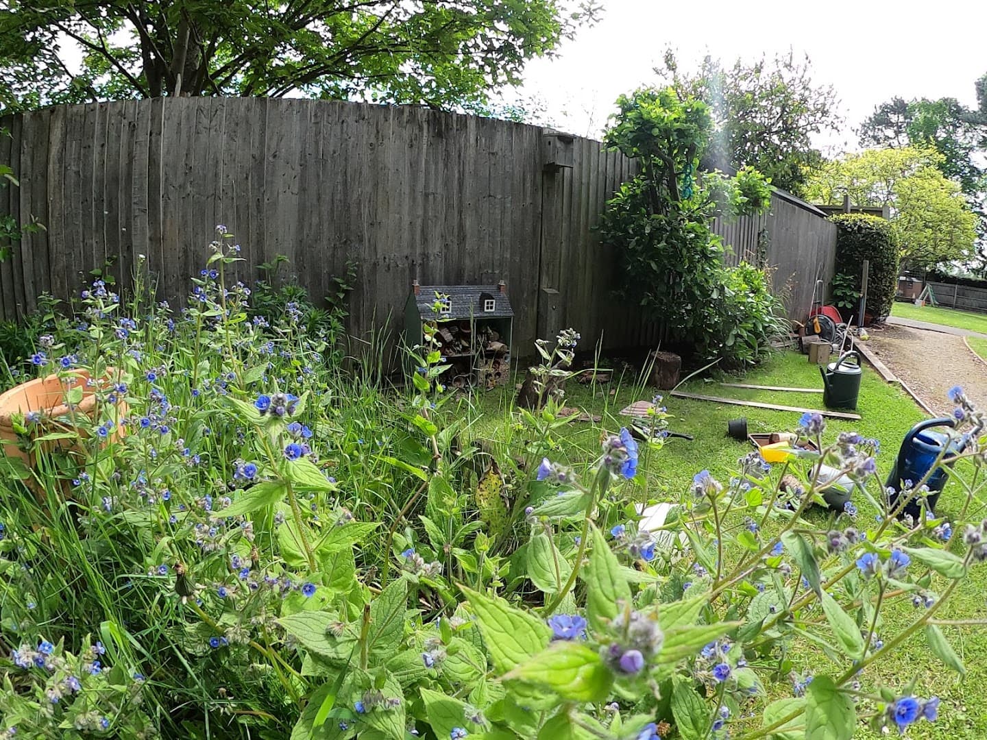 Little Downsend School and Nursery Epsom 9