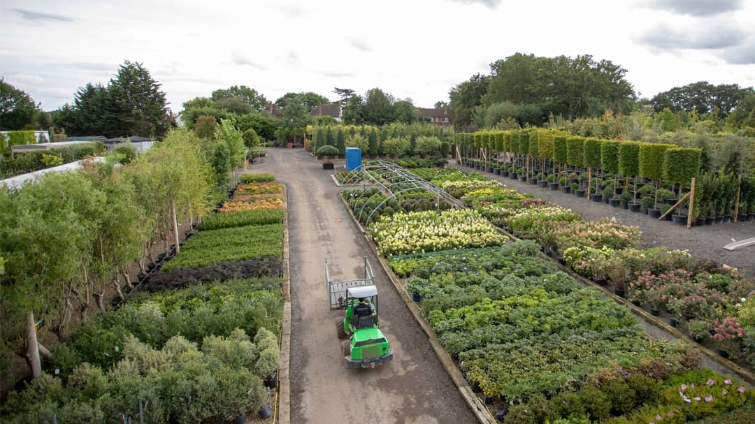Creepers Wholesale Nursery