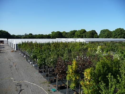 Van Arnhem Nursery Ltd 2