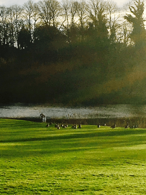 Godstone Golf Club 3