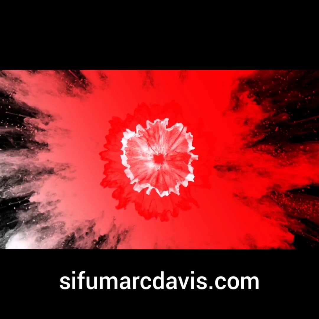 MD Martial Arts Academy 10