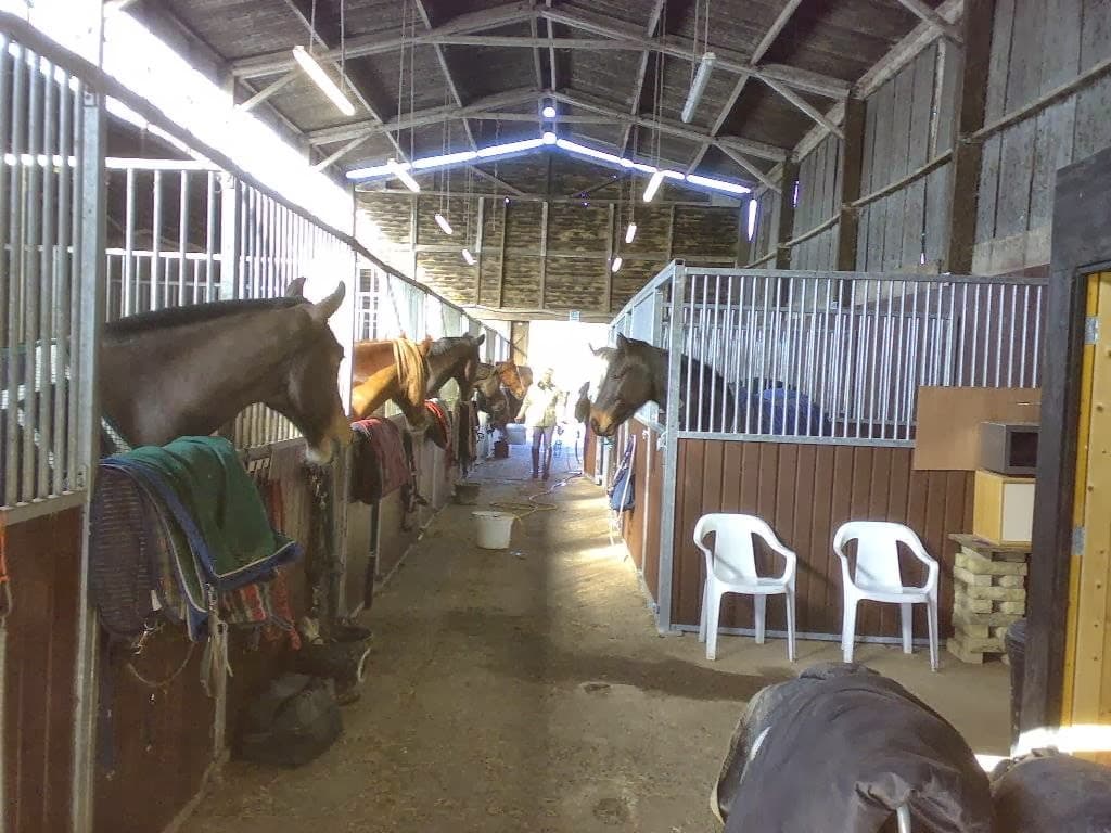 Livery Surrey - Charles Equestrian Ewhurst 3