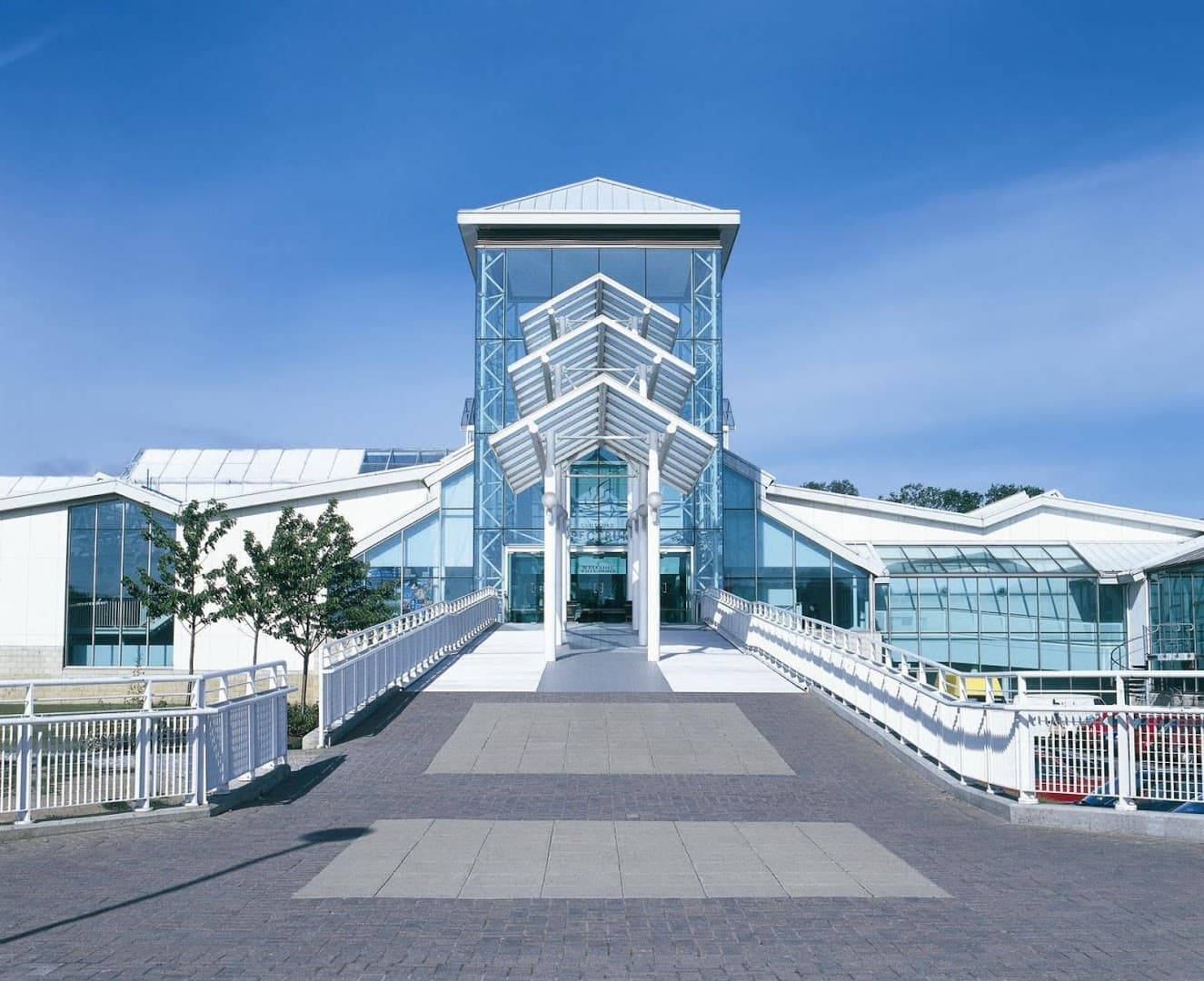 Guildford International Volleyball Club