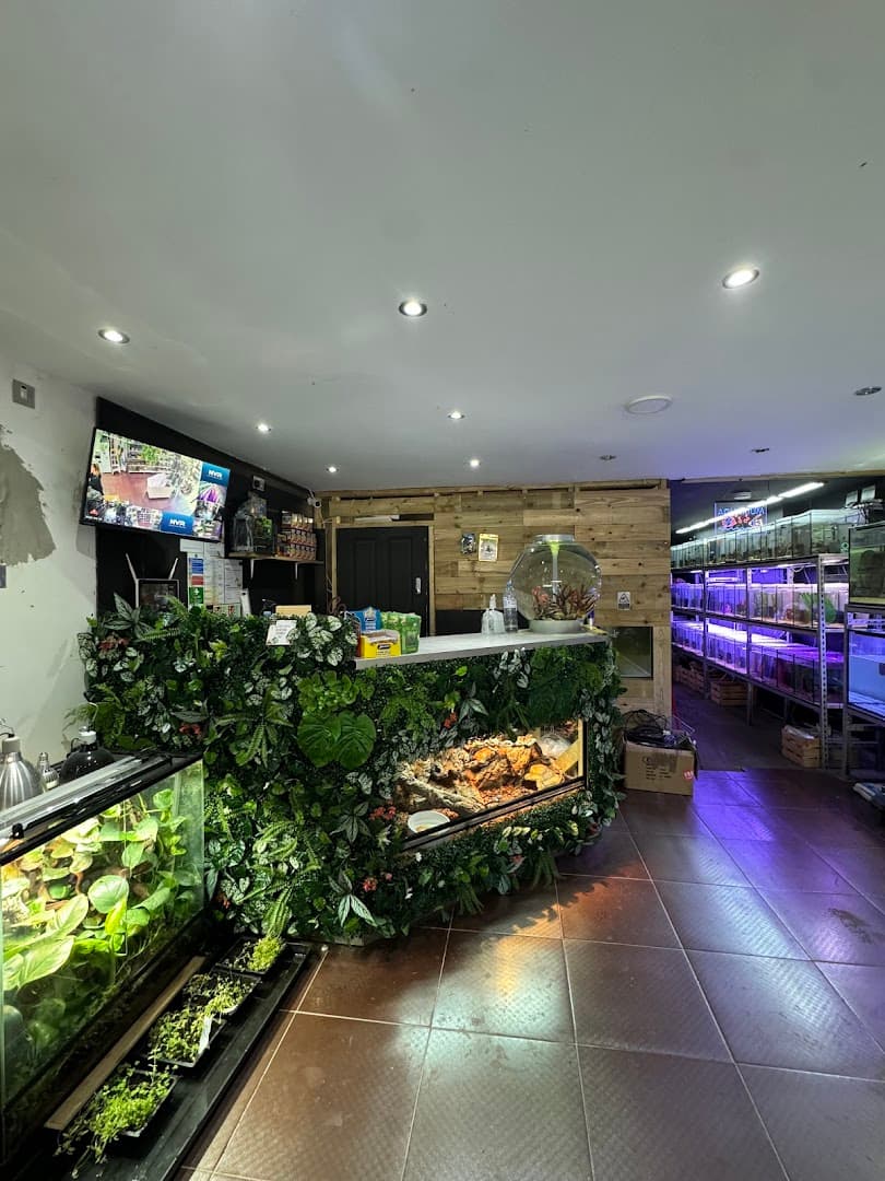 The Reptile Barn & Aquatics 2