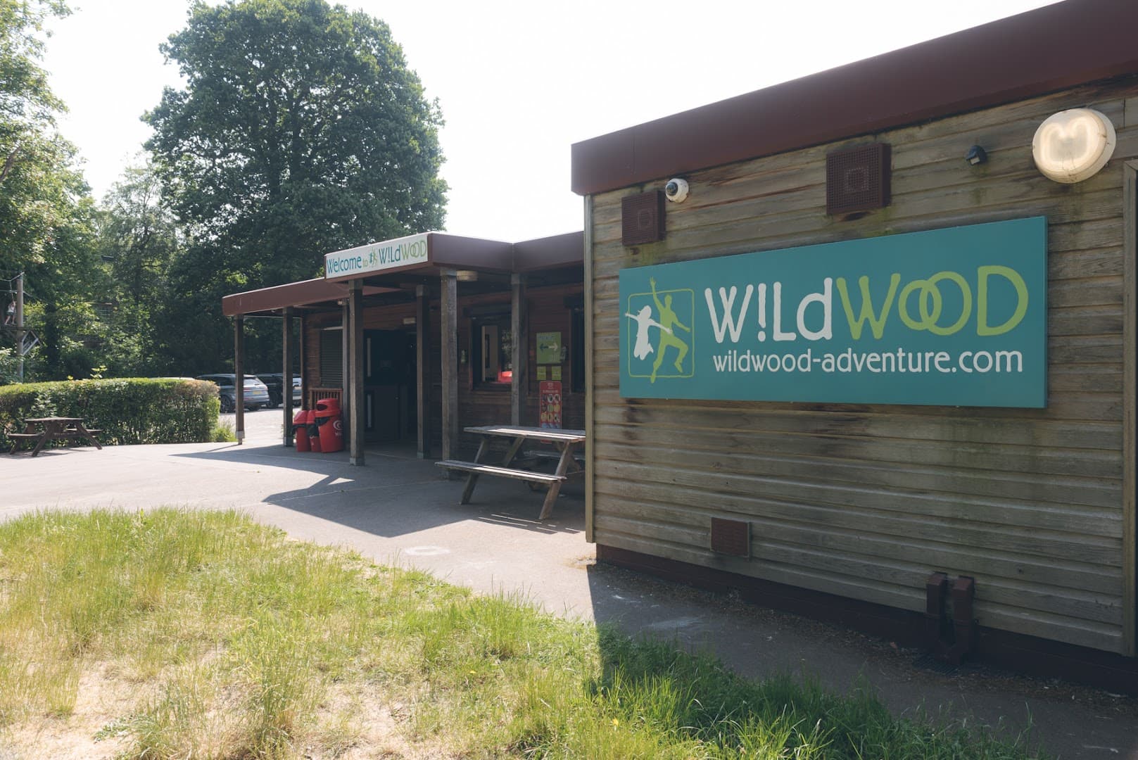 Wild Wood Adventure 3