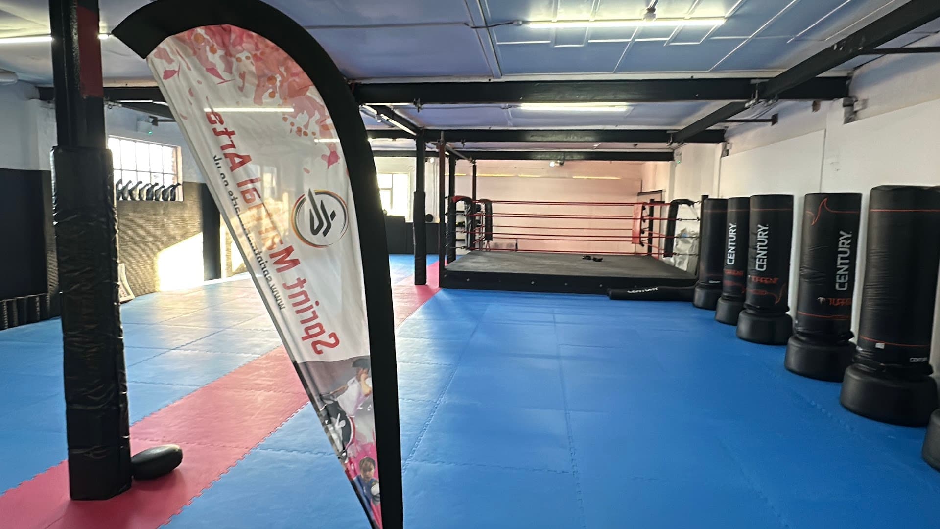 Sprint Martial Arts Sutton 4