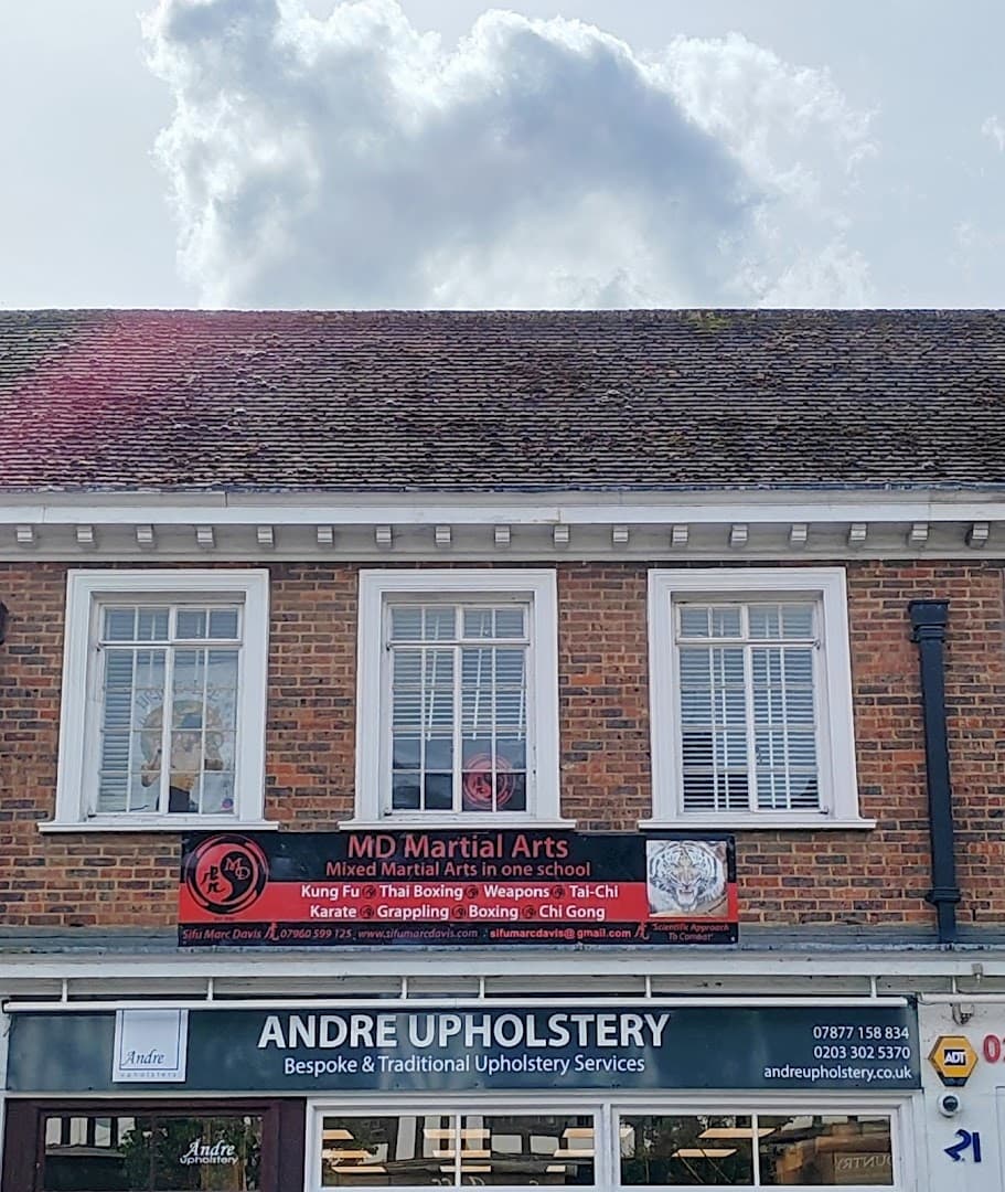 MD Martial Arts Academy 4