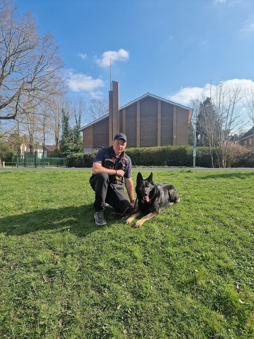 Royvon Dog Training & Boarding (Esher) 2