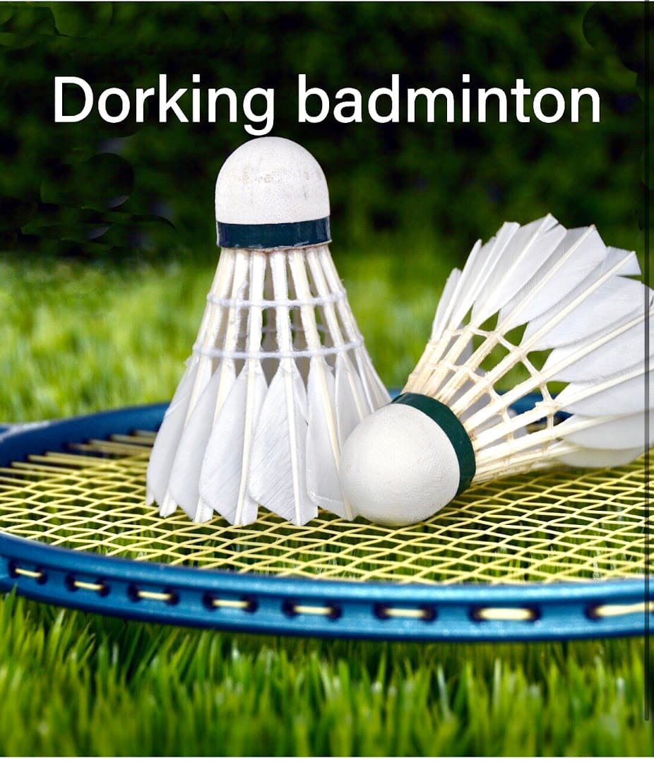 Sport Centre Badminton club