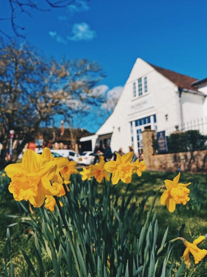 Blossoms Brunch & Coffee 4