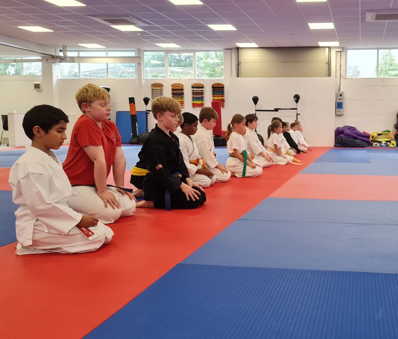 Shin Gi Tai Martial Arts Academy Kingston 3
