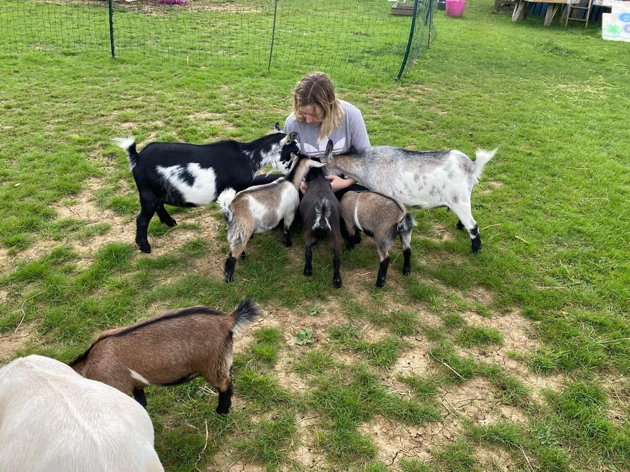 Learning Barn on Manor Farm 2