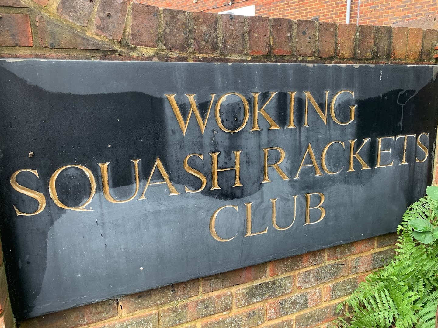 Woking Squash Rackets Club