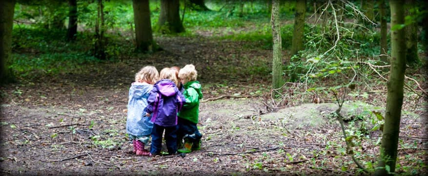 Friends Forest Nursery Ash 9