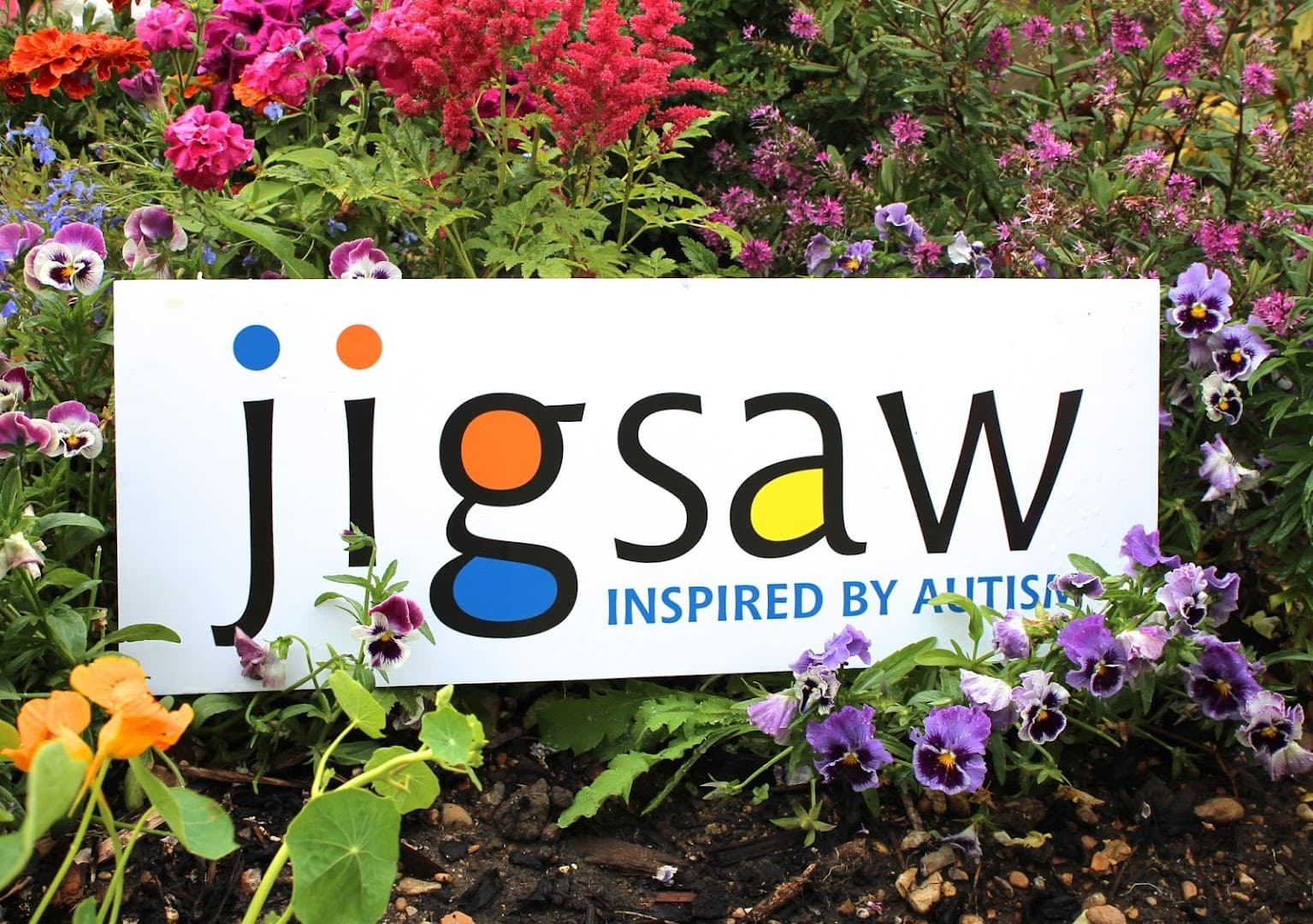 JigsawPlus