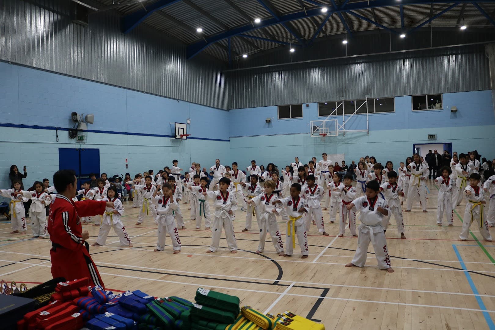 Wild Tigers Taekwondo, Hapkido Walton-on-Thames