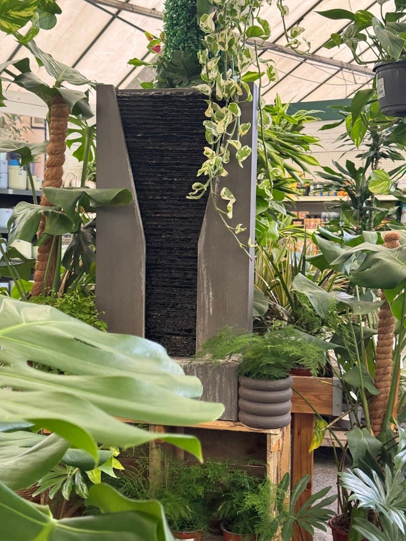 Edwins Garden Centre, Clandon Park 2