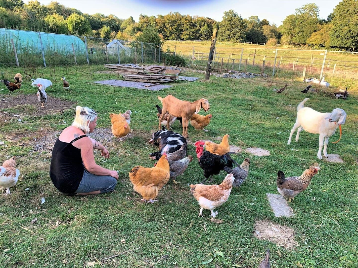 The Secret Garden Sanctuary 4