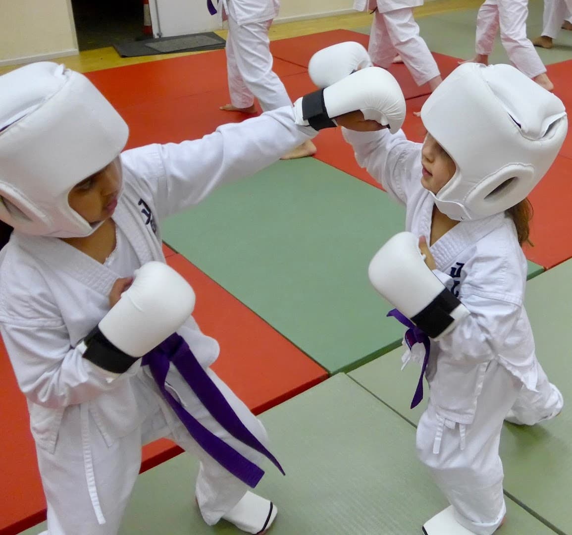 Shoden Martial arts & fitness 3