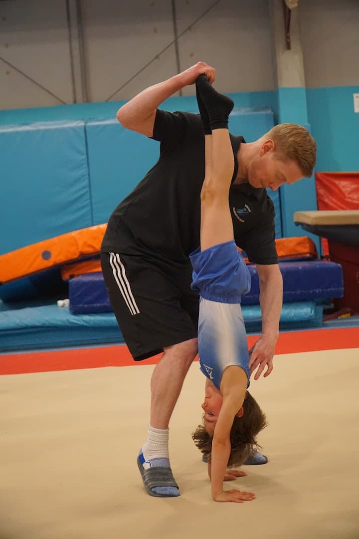 Woking Gymnastics Club 3