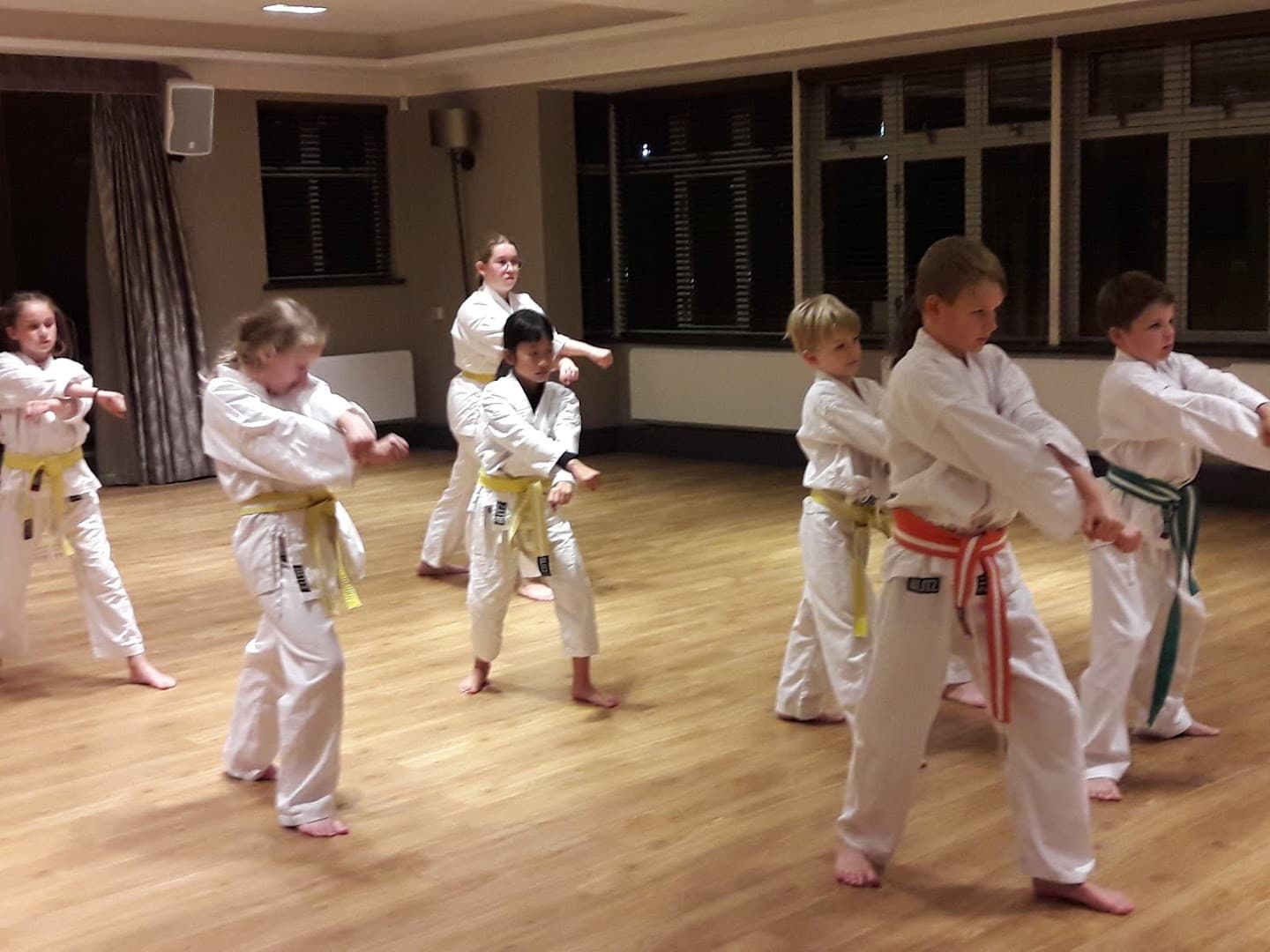 Haslemere Wadokai Karate Club 9