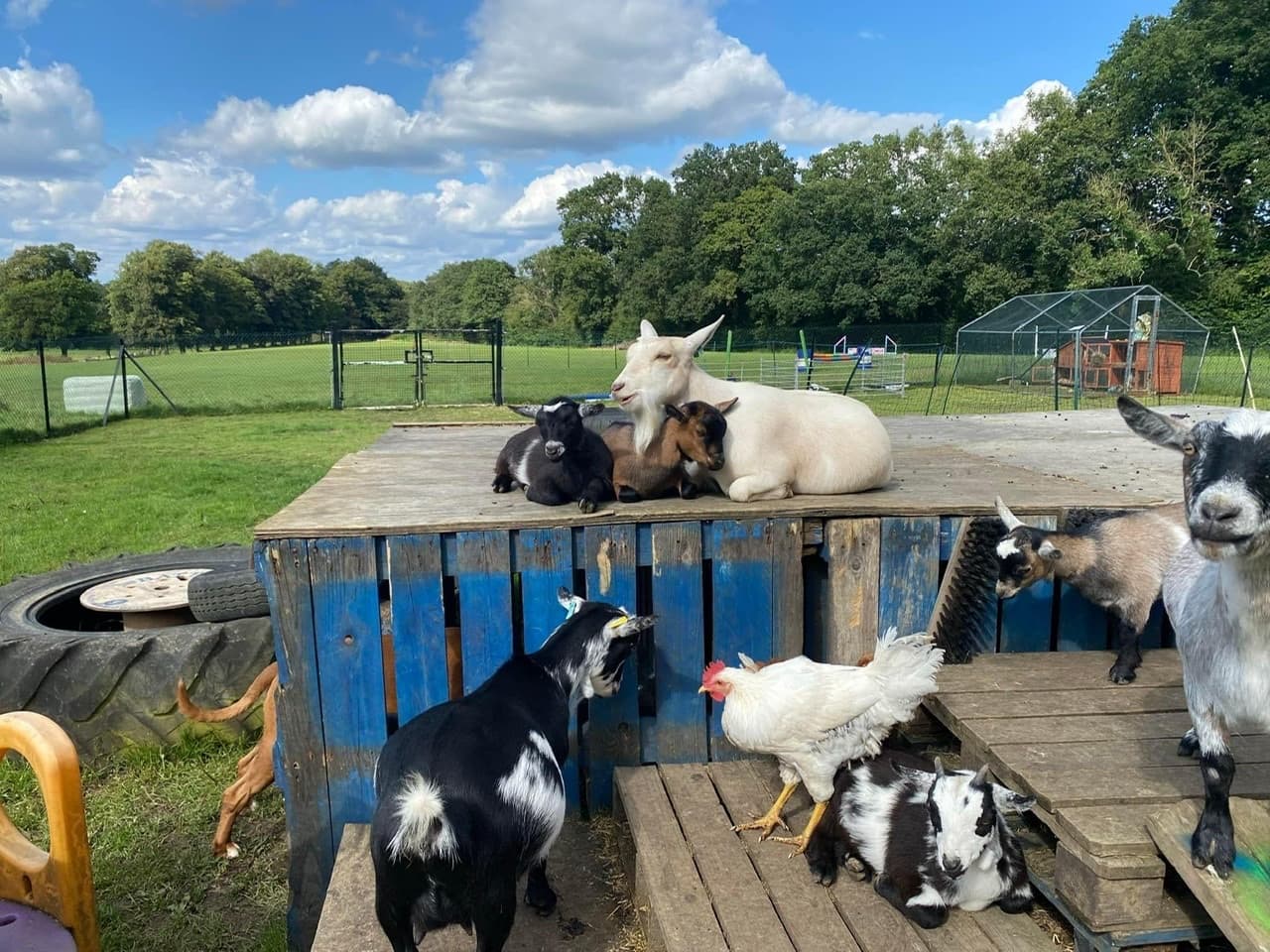 Learning Barn on Manor Farm 3