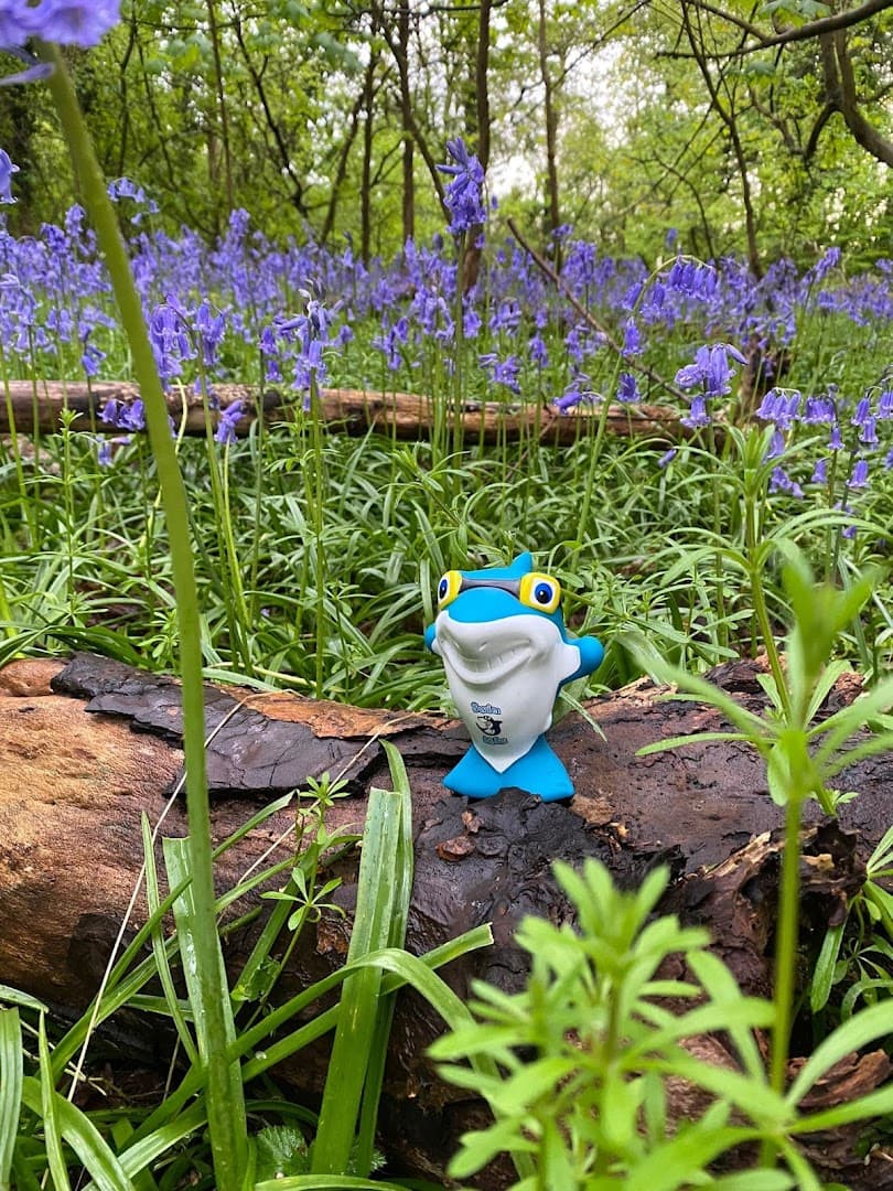 Swimkidz at Meath School 2