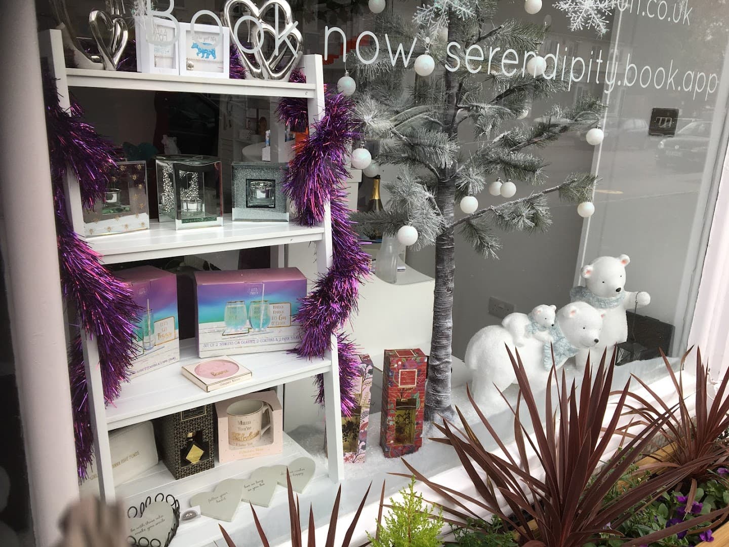 Serendipity Health & Beauty (Merstham) Ltd 4