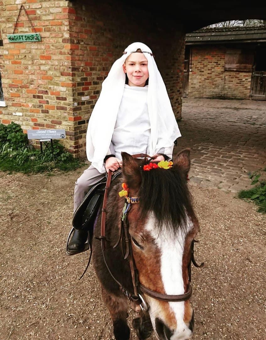 Holly Bush Stables 3