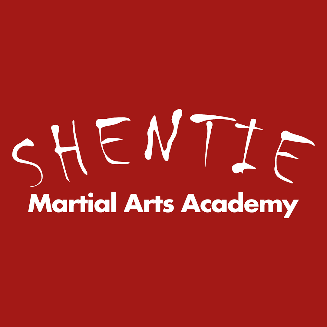 Shentie Martial Arts Academy 3
