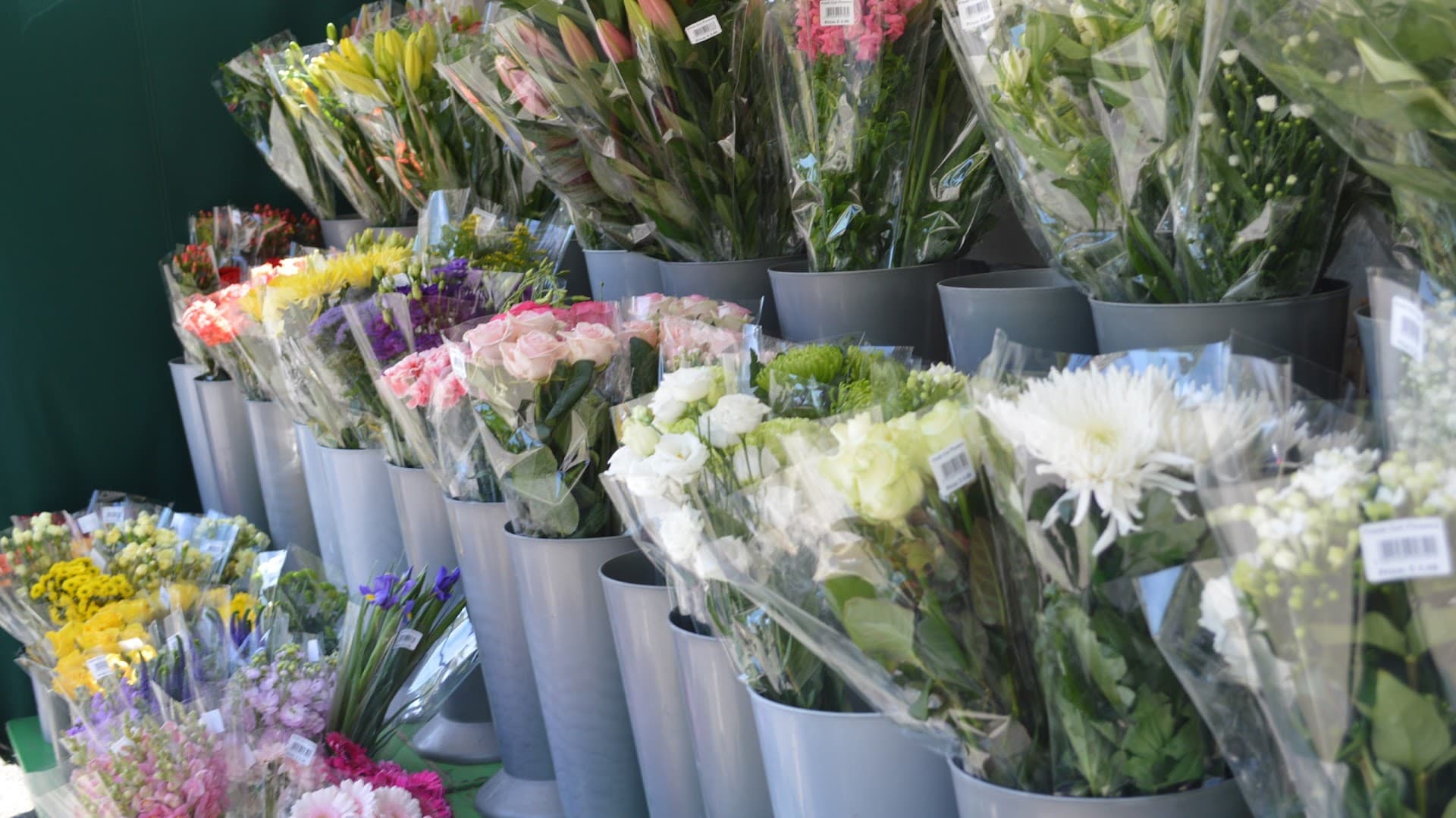 Longacres Garden Shop 2