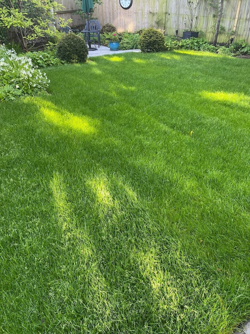 Bloomin Marvellous Landscapes Ltd 2